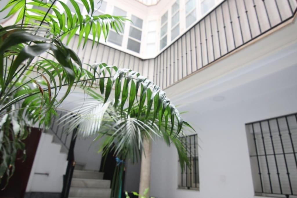 Apartamento Feduchy 10 Min De La Playa 2 Banos Cadiz Ngoại thất bức ảnh